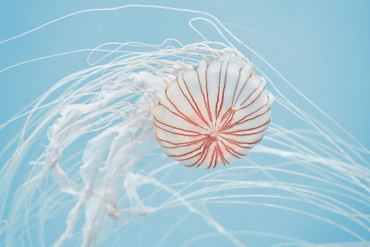 상쾌한 아침 공기