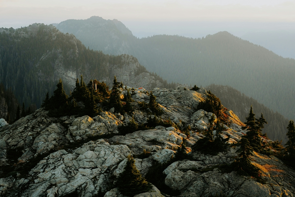 아름다운 꽃길에서