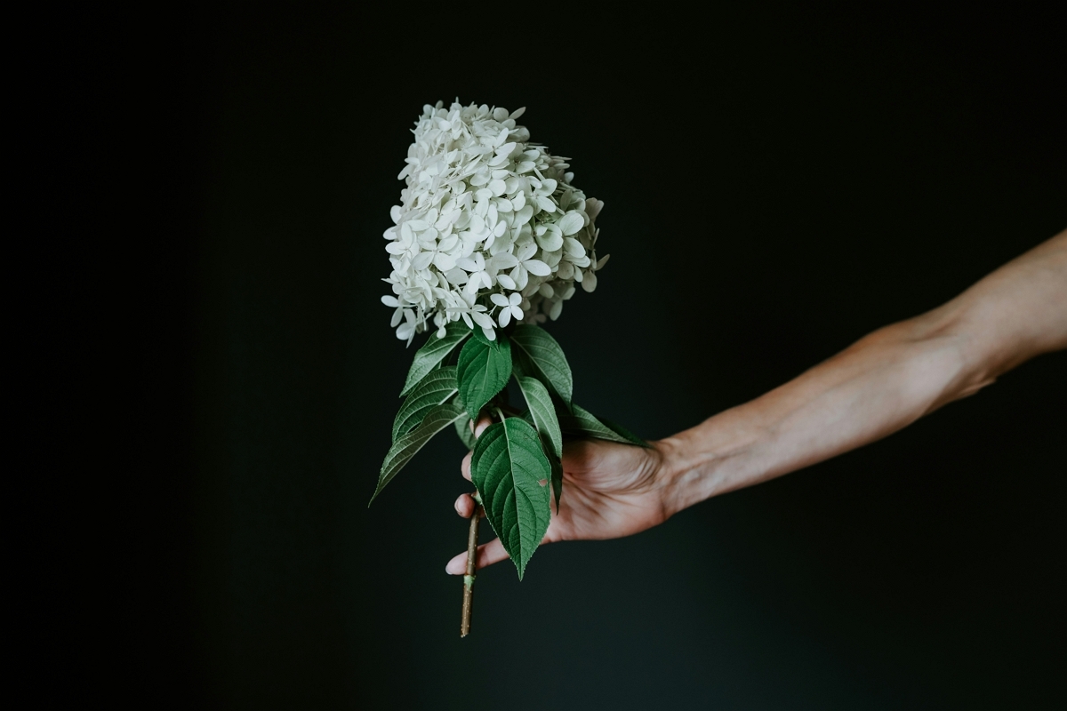 아름다운 꽃길에서