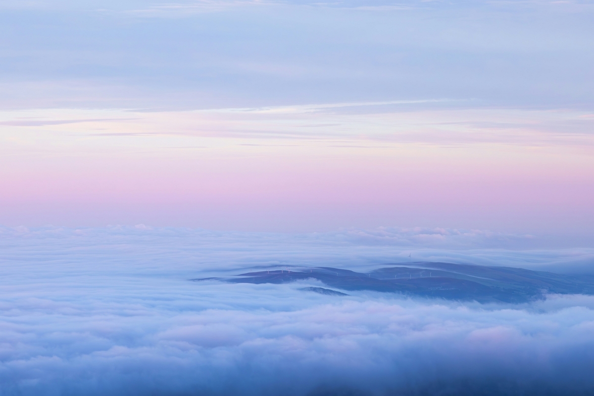 아름다운 꽃길에서