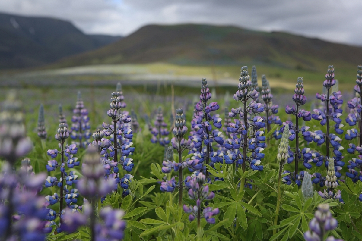 작은 행복을 담다